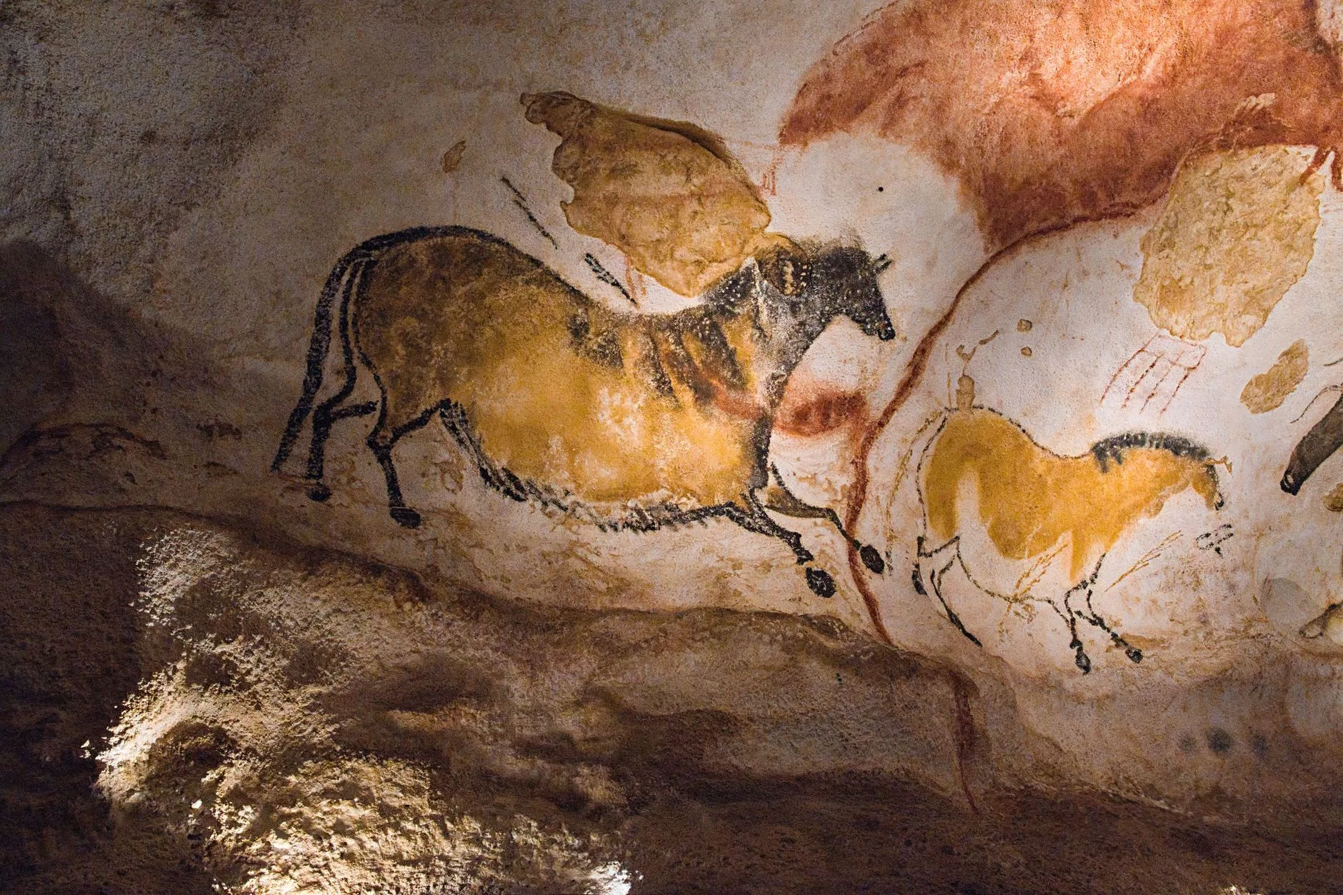 Lascaux : l'histoire d'une grotte devenue légende