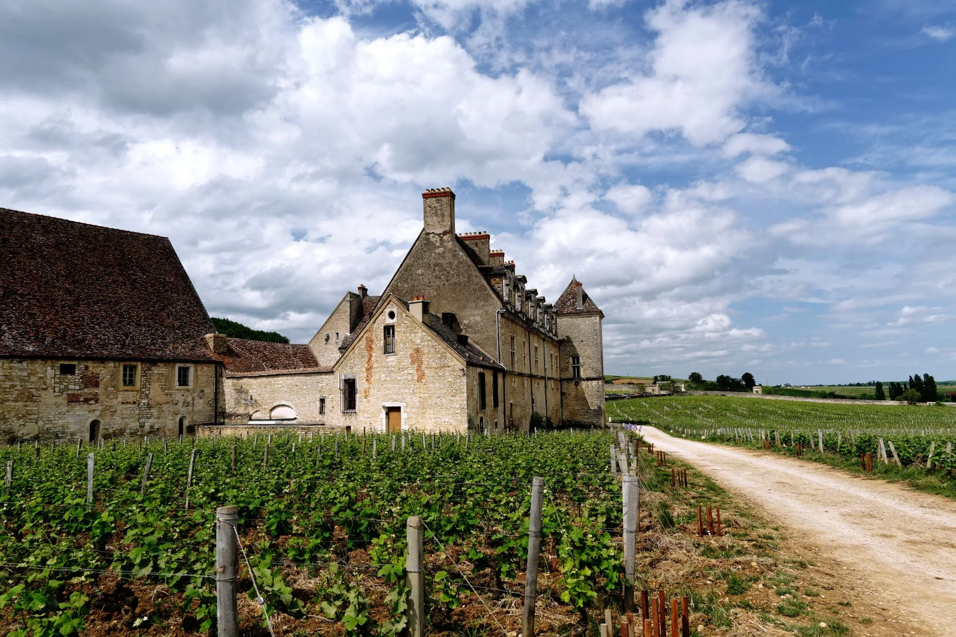 Les vins : Bergerac, Monbazillac et Pécharmant